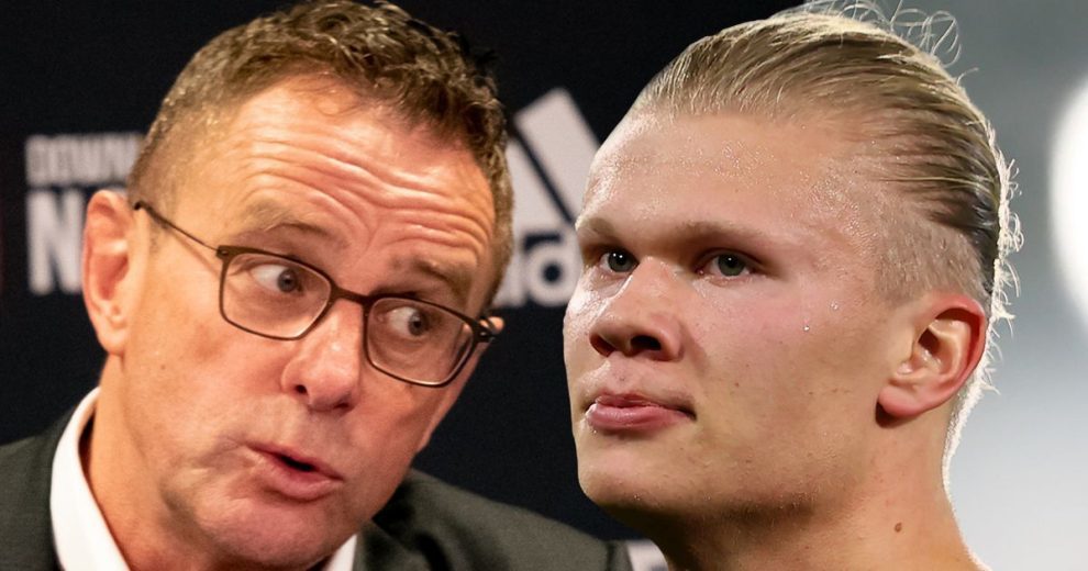 输宿敌30分输黑马16分！四冠王形势岌岌可危，杨鸣离下课还远吗？